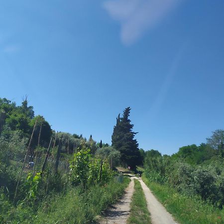 Apartament Casa Tre Pini Serravalle Pistoiese Zewnętrze zdjęcie
