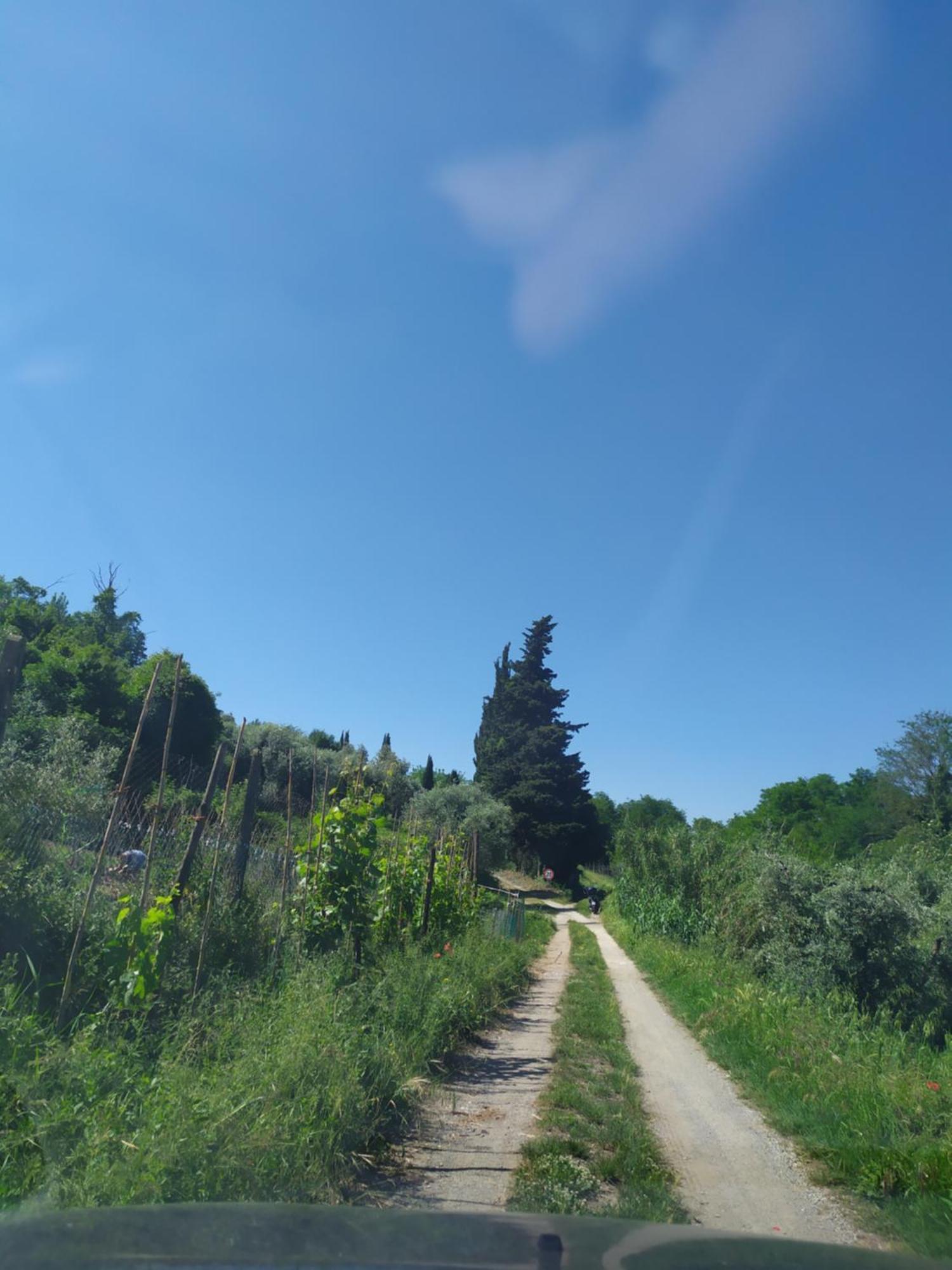 Apartament Casa Tre Pini Serravalle Pistoiese Zewnętrze zdjęcie